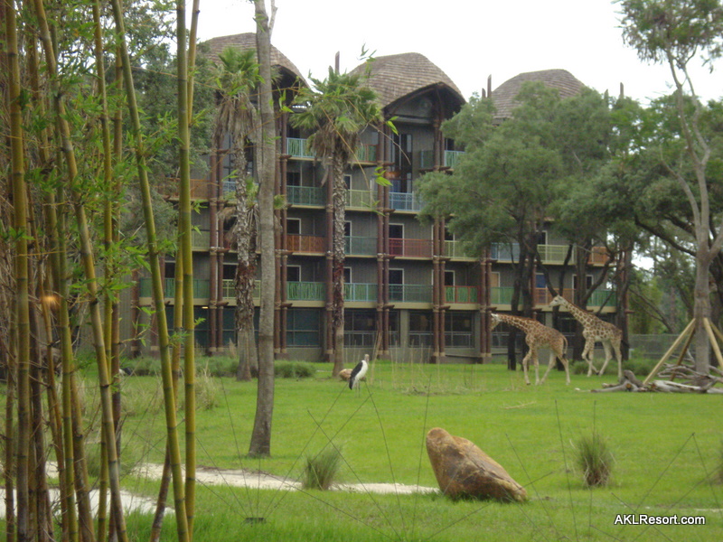 Sanaa | Disney's Animal Kingdom Lodge Fansite